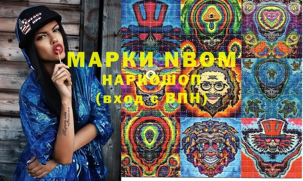 бошки Белокуриха