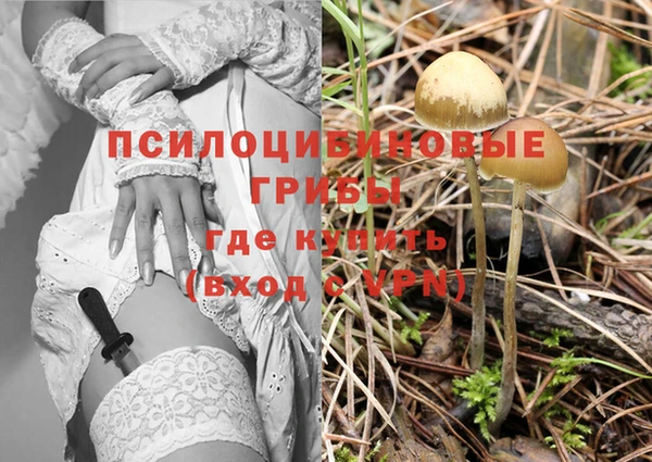 стафф Беломорск