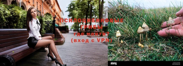 бошки Белокуриха